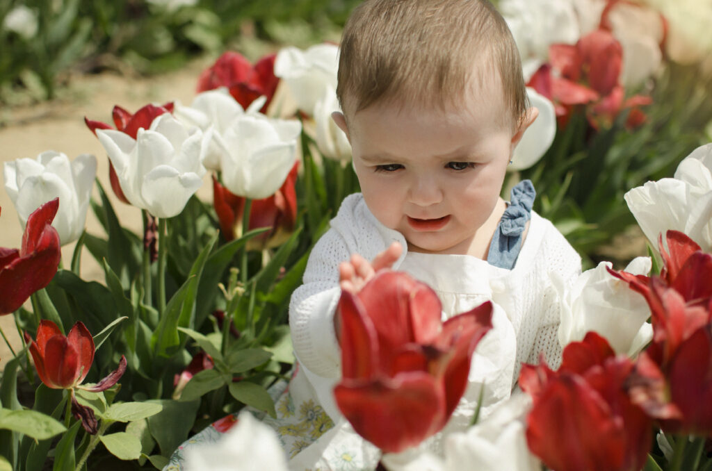 Kids 4 Stunning portrait of a toddler at the Jersey tulip farm.